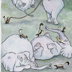elephants